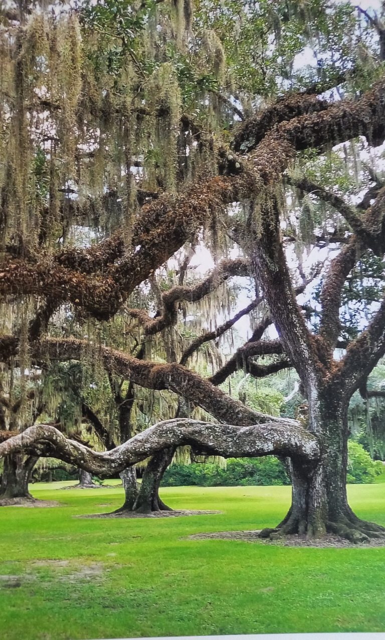 Se frayer un chemin dans une vie tortueuse, oui c'est possible
